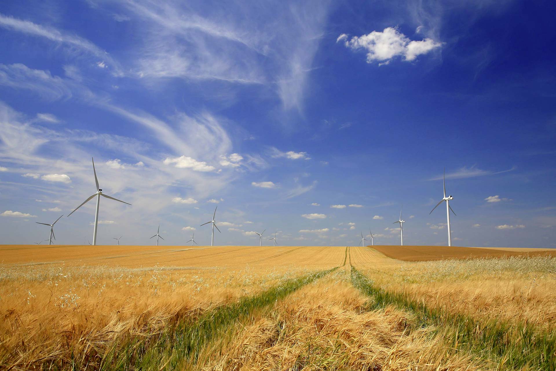 Contactez-nous yH5BAEAAAAALAAAAAABAAEAAAIBRAA7 - Contactez-nous